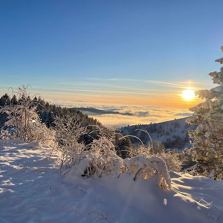 Brvnara Iverak Mokra Gora Exterior foto
